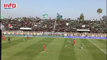 فيديو رائع..شعارات رجاوي فلسطيني يزلزل مدرجات ملعب يرشيد.