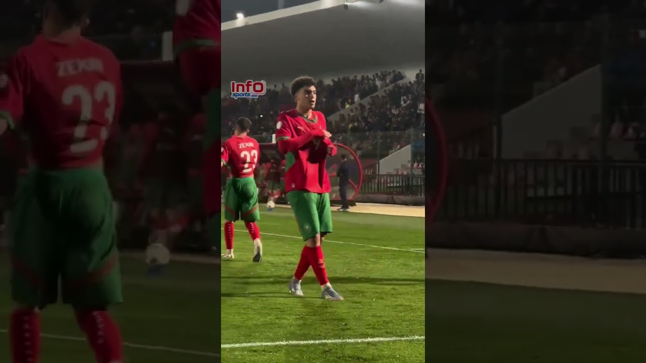 فيديو..فرحة كبيرة للاعبي المنتخب الوطني بالهدف الثالث