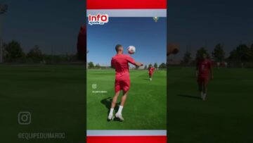 فيديو..لقطات طريفة من تداريب الأسود في لعبة تحدي التنس بين