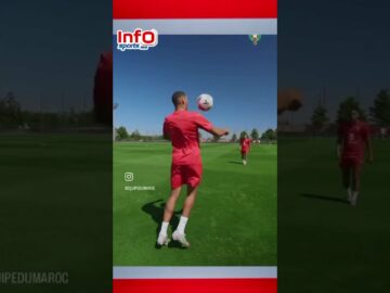 فيديو..لقطات طريفة من تداريب الأسود في لعبة تحدي التنس بين