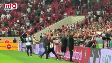 فيديو..الأسود يشعلون المدرجات بالتوجه لإهداء أقمصتهم للجماهير في لقطة رائعة.