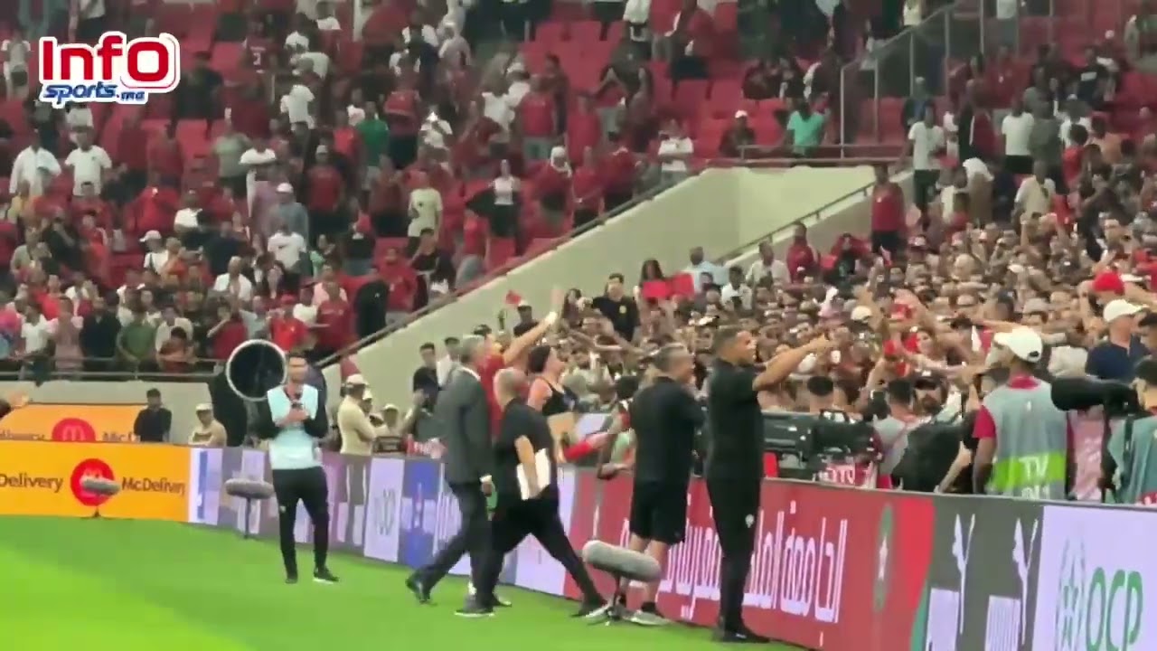 فيديو..الأسود يشعلون المدرجات بالتوجه لإهداء أقمصتهم للجماهير في لقطة رائعة.