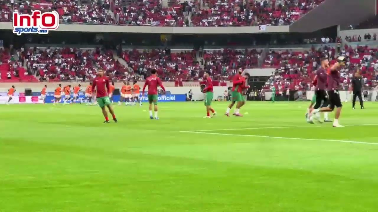 فيديو..لحظة تاريخية..تفاعل كبير من الجماهير مع دخول لاعبي الأسود لأرضية الملعب.