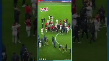 فرحة الأسود مع الجمهور بالتأهل لنصف نهائي ” كان “