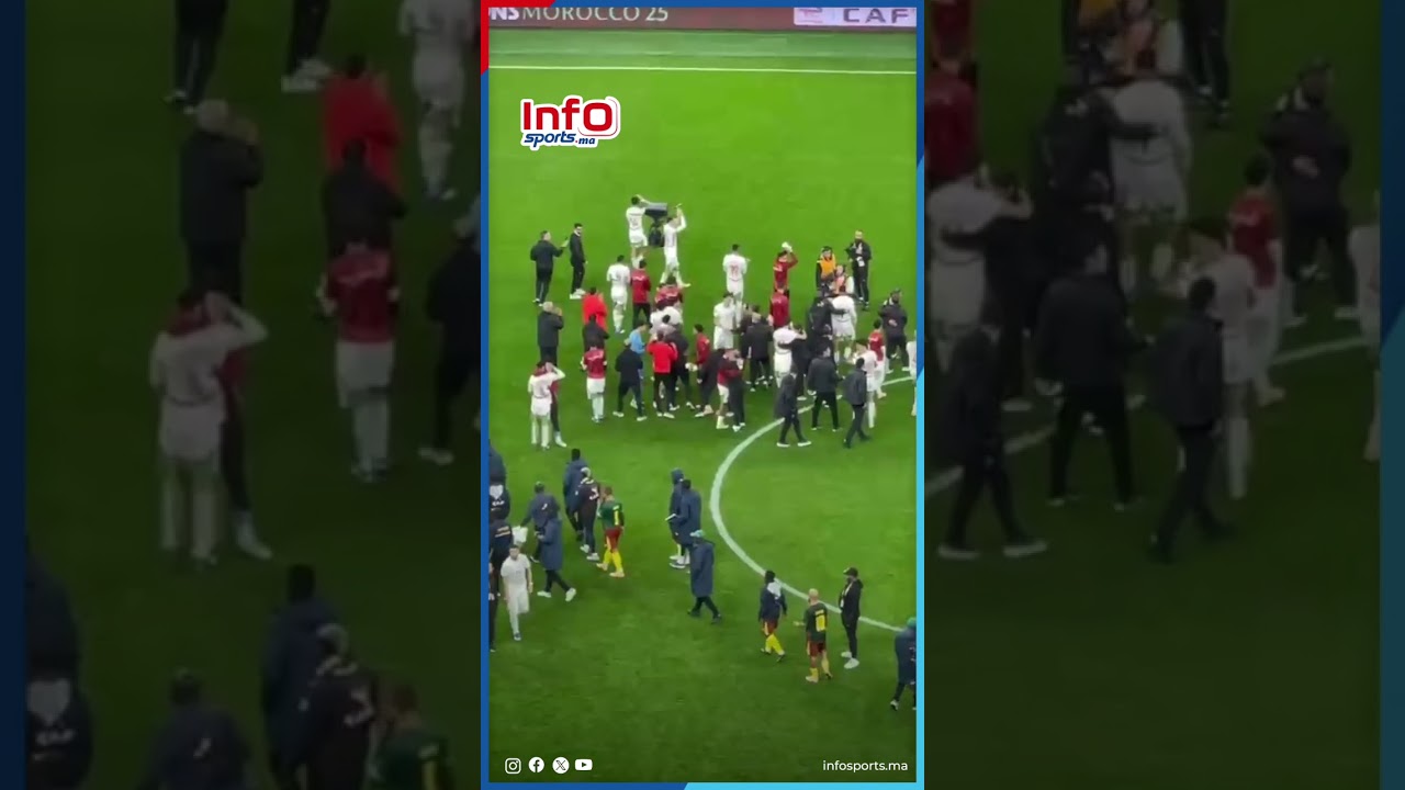 فرحة الأسود مع الجمهور بالتأهل لنصف نهائي " كان " المغرب