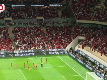 فيديو..تفاعل كبير للجماهير المغربية مع الهدف الأول لإيغامن بالرباط.