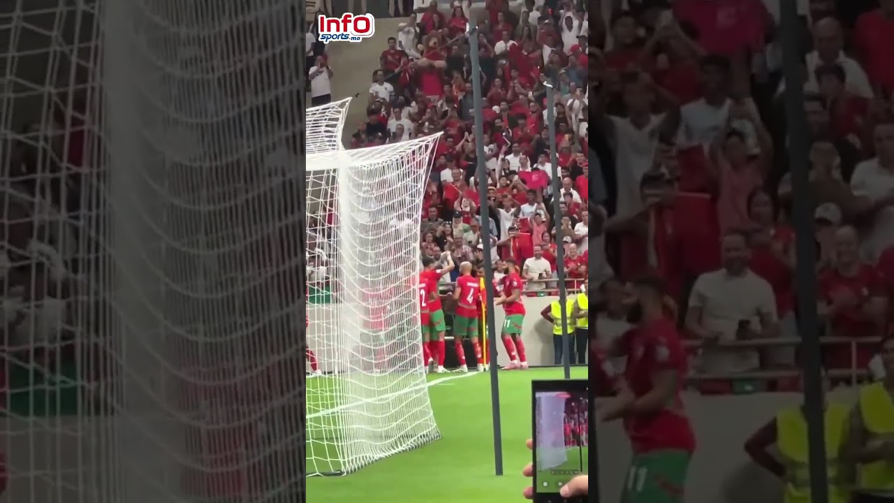 احتفالية لاعبي المنتخب الوطني بعد هدف اسماعيل الصيباري في مرمى النيجر