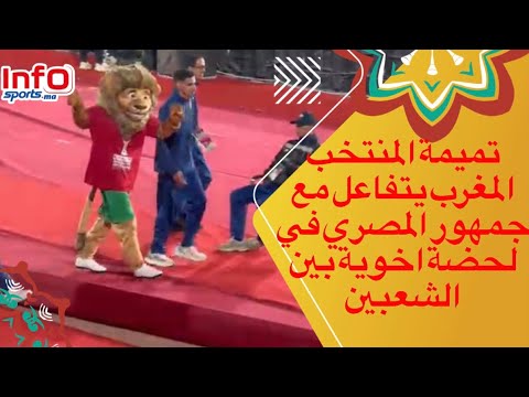 تميمة المنتخب المغرب يتفاعل مع جمهور المصري في لحضة اخوية بين الشعبين