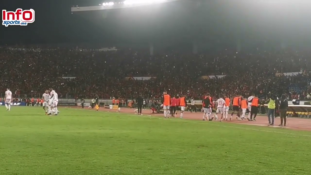 فيديو..فرحة لا توصف للاعبي وكرسي احتياط الوداد بالهدف الرائع للسرغات.